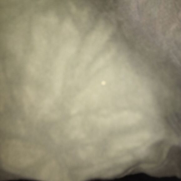 Seventh Avenue The Mountain Vintage Wolf T Shirt Size XL P2P 25 in - Picture 4 of 10